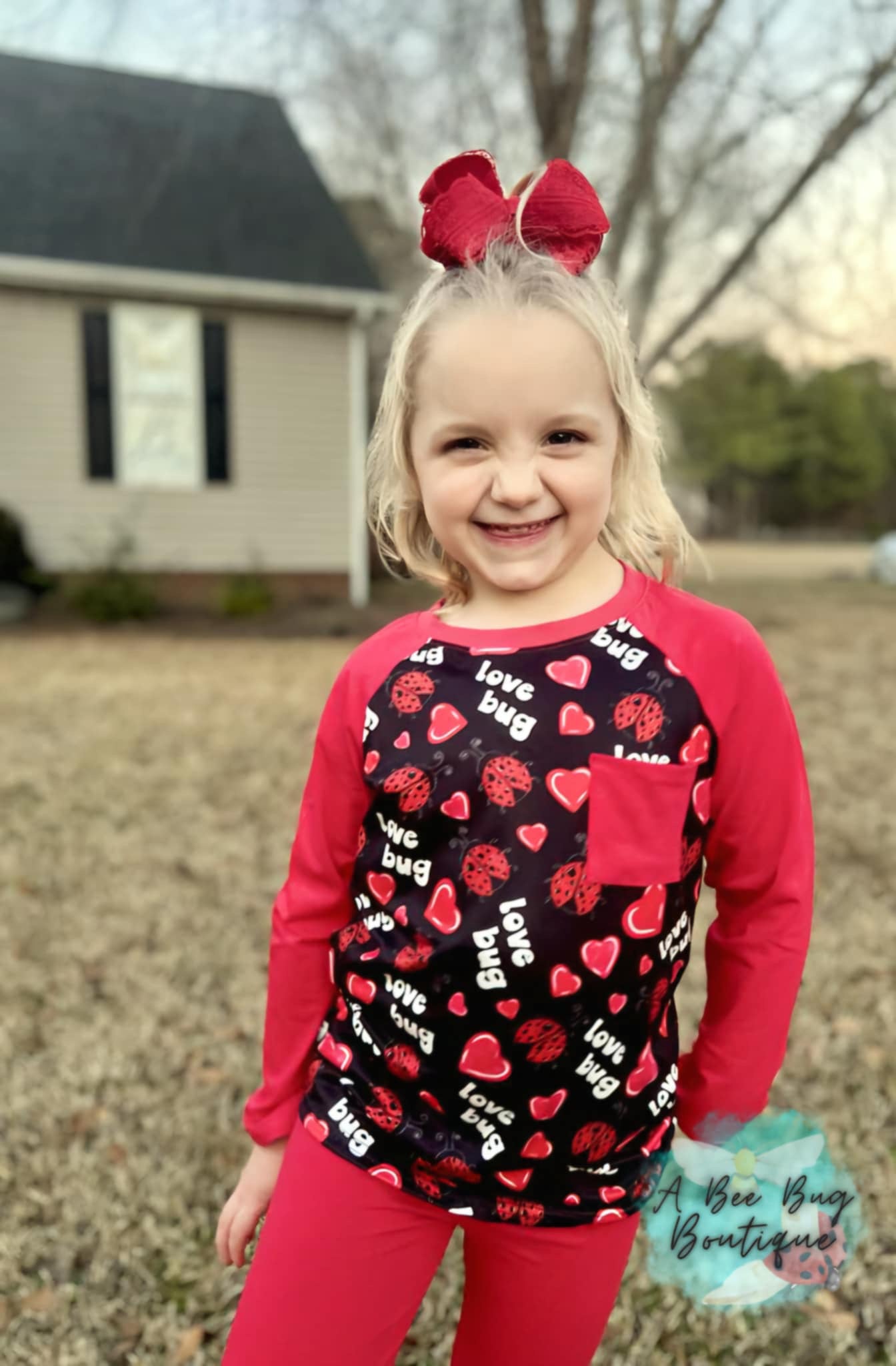 Love Bugs Raglan Top